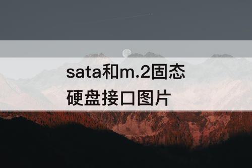 sata和m.2固态硬盘接口图片