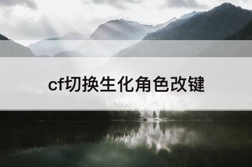 cf切换生化角色改键
