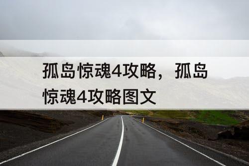 孤岛惊魂4攻略，孤岛惊魂4攻略图文