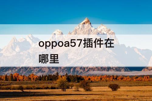 oppoa57插件在哪里
