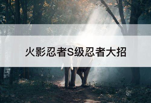 火影忍者S级忍者大招