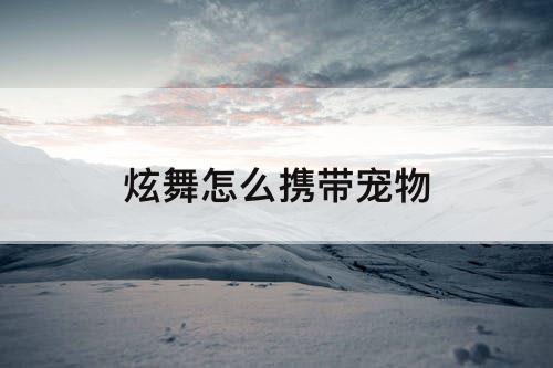 炫舞怎么携带宠物