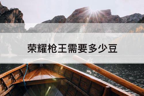 荣耀枪王需要多少豆