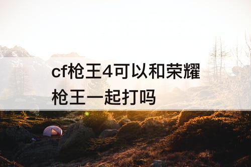 cf枪王4可以和荣耀枪王一起打吗