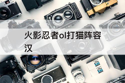 火影忍者ol打猫阵容汉