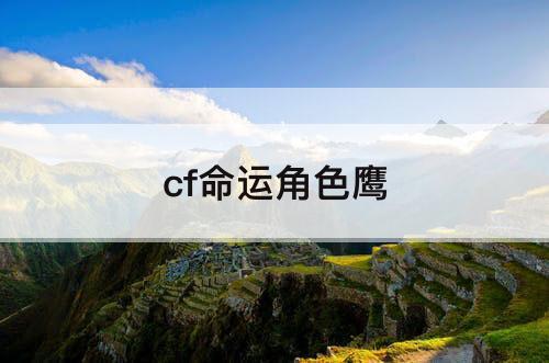 cf命运角色鹰