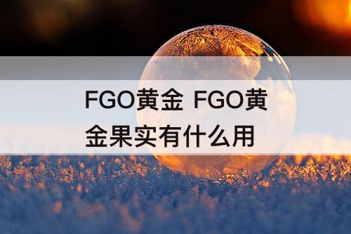 FGO黄金 FGO黄金果实有什么用