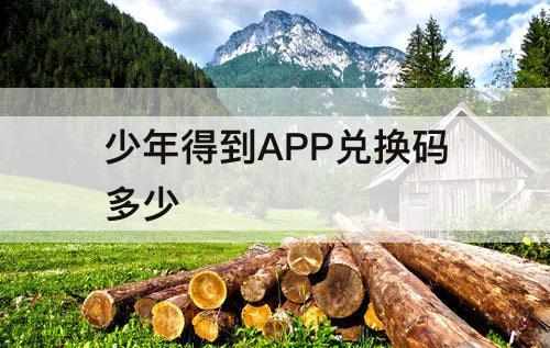 少年得到APP兑换码多少