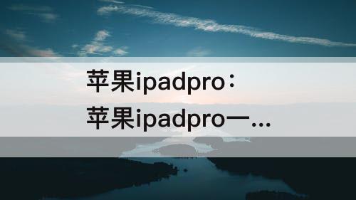 苹果ipadpro：苹果ipadpro一代参数