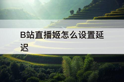 B站直播姬怎么设置延迟