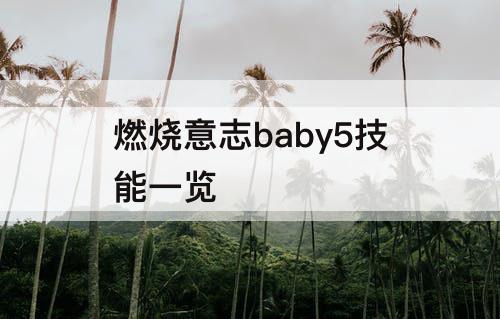 燃烧意志baby5技能一览