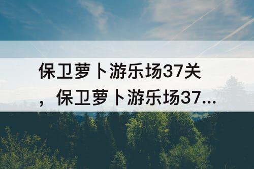 保卫萝卜游乐场37关，保卫萝卜游乐场37关金萝卜