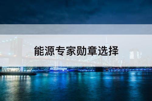 能源专家勋章选择
