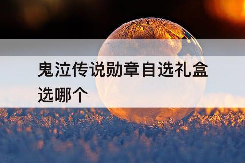 鬼泣传说勋章自选礼盒选哪个