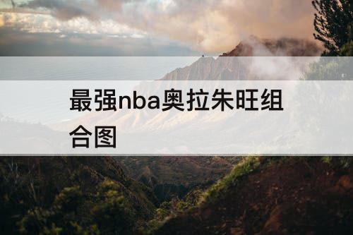 最强nba奥拉朱旺组合图