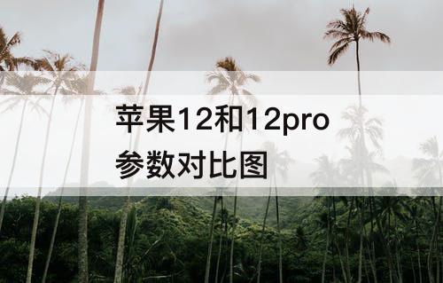 苹果12和12pro参数对比图