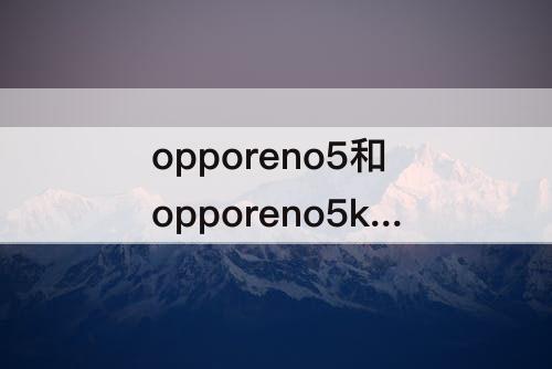 opporeno5和opporeno5k区别