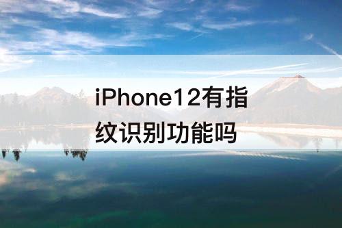 iPhone12有指纹识别功能吗