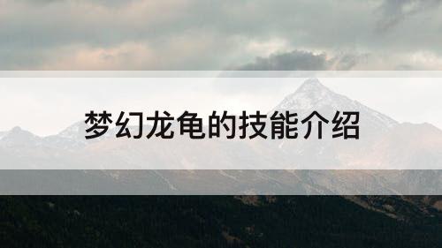 梦幻龙龟的技能介绍