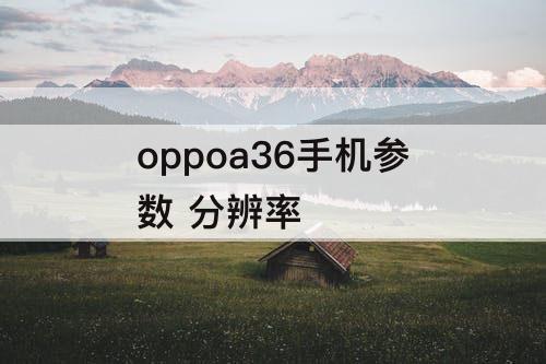 oppoa36手机参数 分辨率