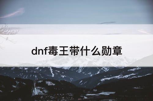 dnf毒王带什么勋章