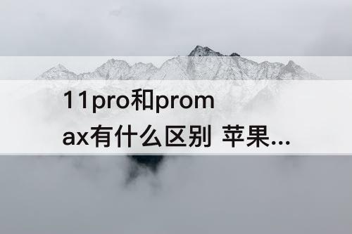 11pro和promax有什么区别 苹果手机11pro和promax有什么区别