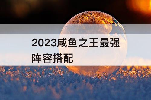 2023咸鱼之王最强阵容搭配