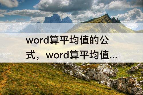 word算平均值的公式，word算平均值的公式下面