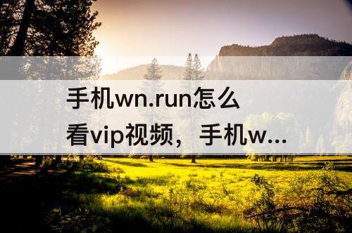 手机wn.run怎么看vip视频，手机wn.run怎么看vip视频 n