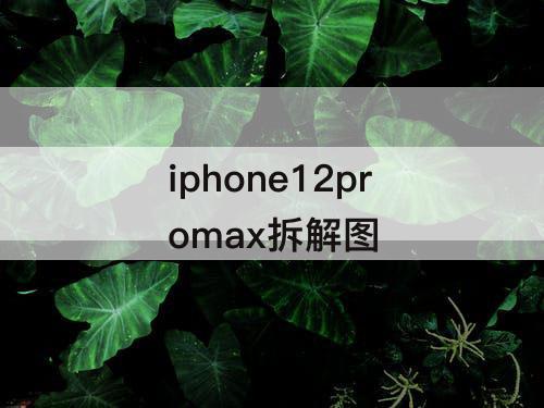 iphone12promax拆解图