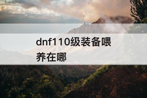dnf110级装备喂养在哪