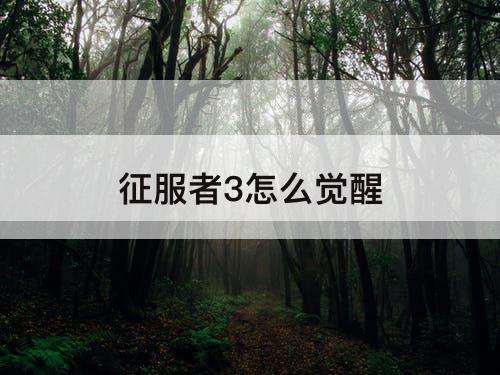 征服者3怎么觉醒