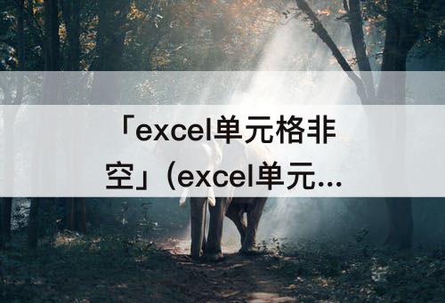 「excel单元格非空」(excel单元格非空用公式怎么表达)