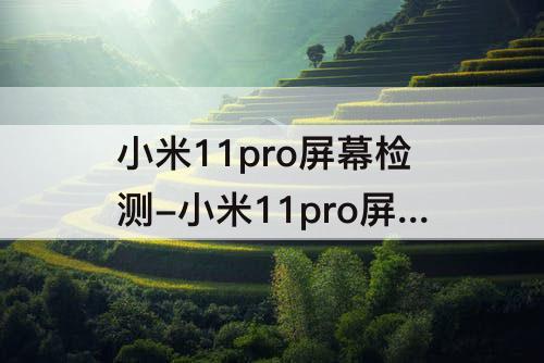 小米11pro屏幕检测-小米11pro屏幕检测代码