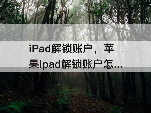 iPad解锁账户，苹果ipad解锁账户怎么解