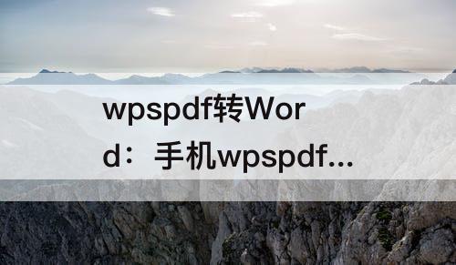 wpspdf转Word：手机wpspdf转word