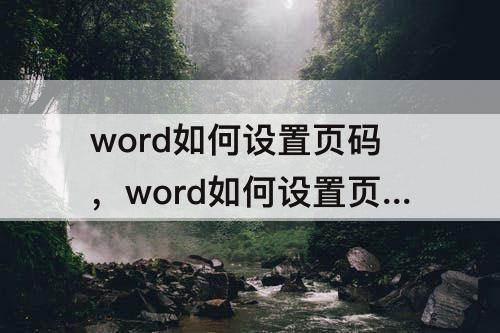 word如何设置页码，word如何设置页码字体