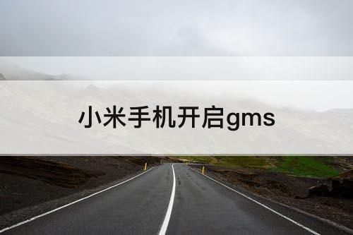 小米手机开启gms