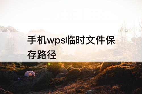 手机wps临时文件保存路径
