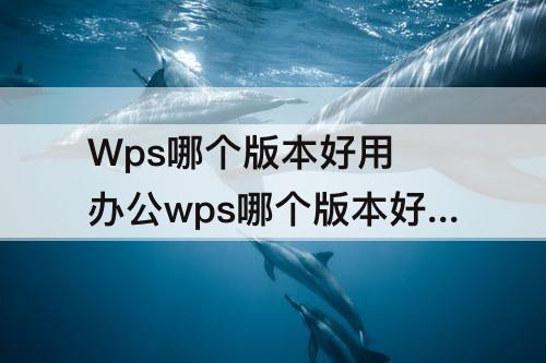 Wps哪个版本好用 办公wps哪个版本好用