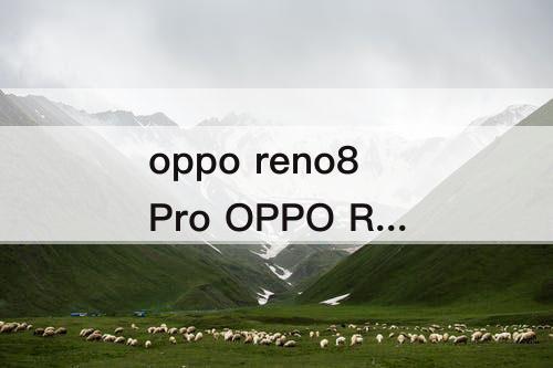 oppo reno8Pro OPPO Reno8Pro+怎么样