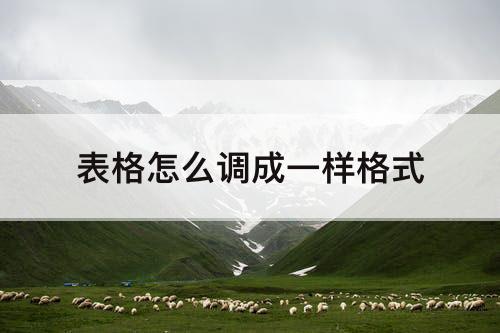 表格怎么调成一样格式