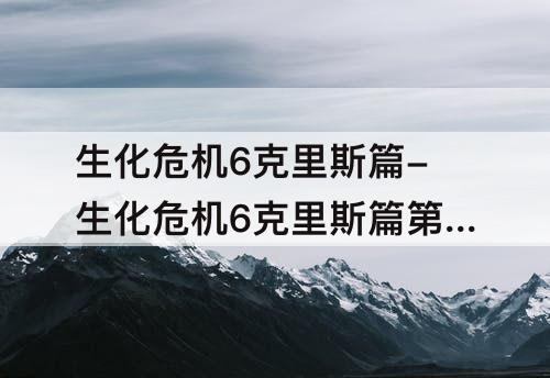 生化危机6克里斯篇-生化危机6克里斯篇第二章武器