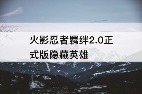 火影忍者羁绊2.0正式版隐藏英雄