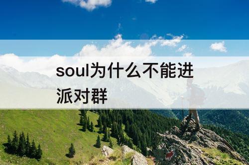 soul为什么不能进派对群