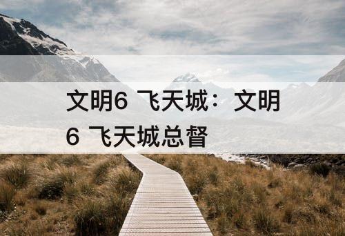 文明6 飞天城：文明6 飞天城总督