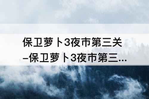 保卫萝卜3夜市第三关-保卫萝卜3夜市第三关攻略