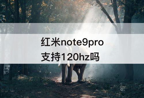红米note9pro支持120hz吗