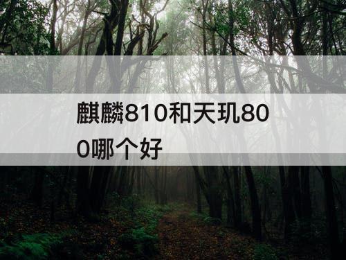 麒麟810和天玑800哪个好