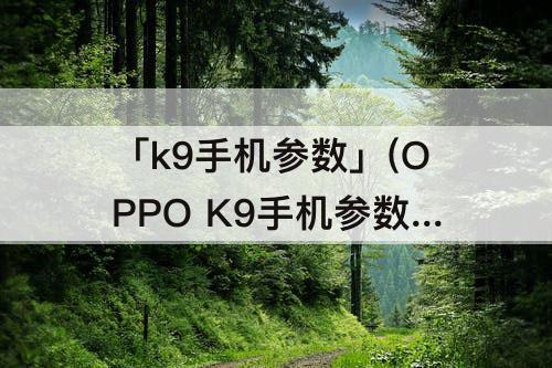 「k9手机参数」(OPPO K9手机参数配置详情)